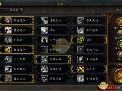《魔兽世界》8.15射击猎PVP攻略