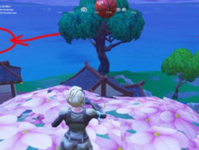 堡垒之夜粉红树顶在哪