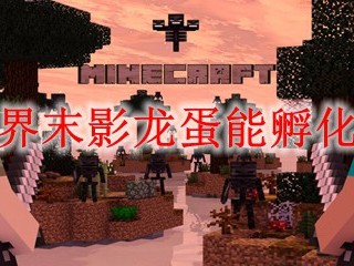 我的世界：2025年，末影龙蛋能否成功孵化？