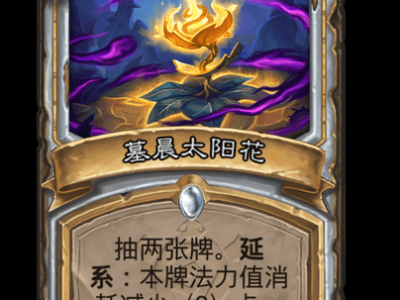 炉石传说墓晨太阳花卡牌图鉴