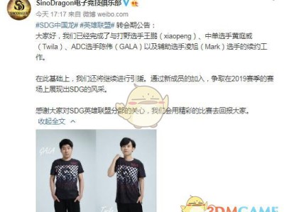 《LOL》S9SDG战队介绍