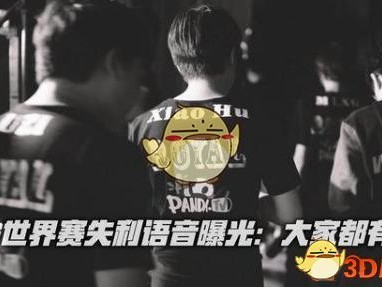 RNG打G2语音观看地址