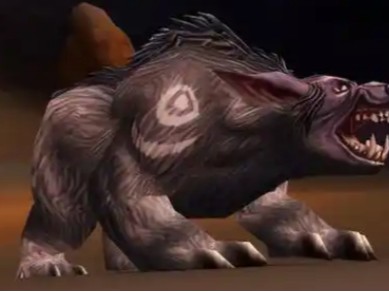 魔兽世界11.1熊德宏命令