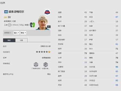 《FIFA online4》舒梅切尔球员信息