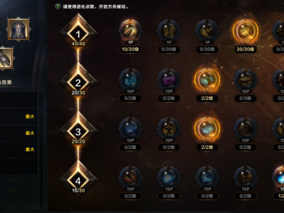 命运方舟裁决许可圣骑士方舟加点攻略