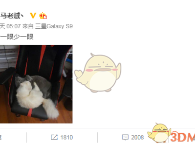 《LOL》RW战队SMLZ离队几乎已成定局