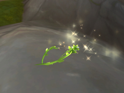 《魔兽世界》中，苔绒之花可以收获哪些物品？