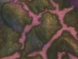 《魔兽世界》8.0战争前线阿拉希位置一览